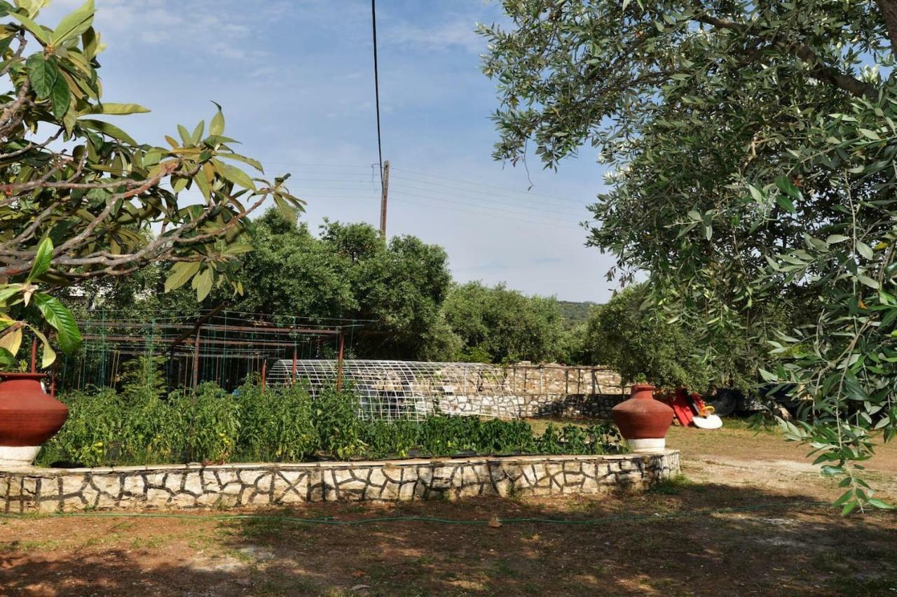 Penelope'S House Villa Skála Kallirákhis Dış mekan fotoğraf